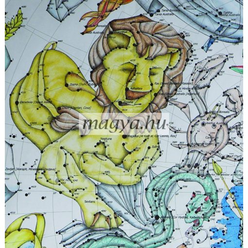 DG05 - 44 ősi magya csillagkép - Oroszlán/Leo