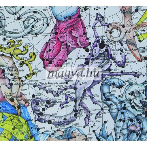 DG08 - 44 ősi magya csillagkép - Skorpió/Scorpius