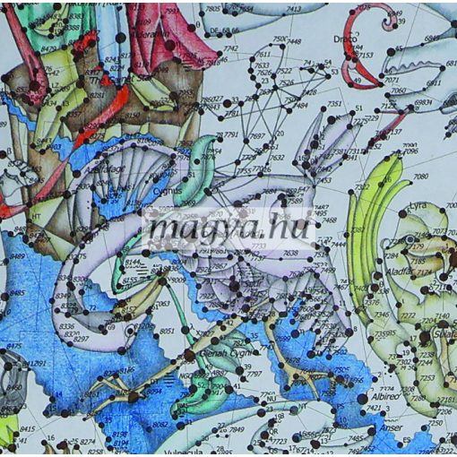 DG17 - 44 ősi magya csillagkép - Herme darva/Cygnus