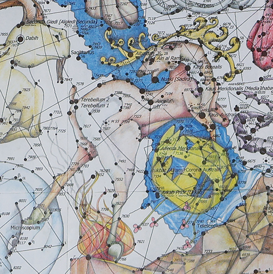 LUCA kozmikus ünnepnap